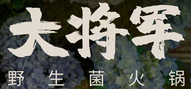 大将军野生菌火锅